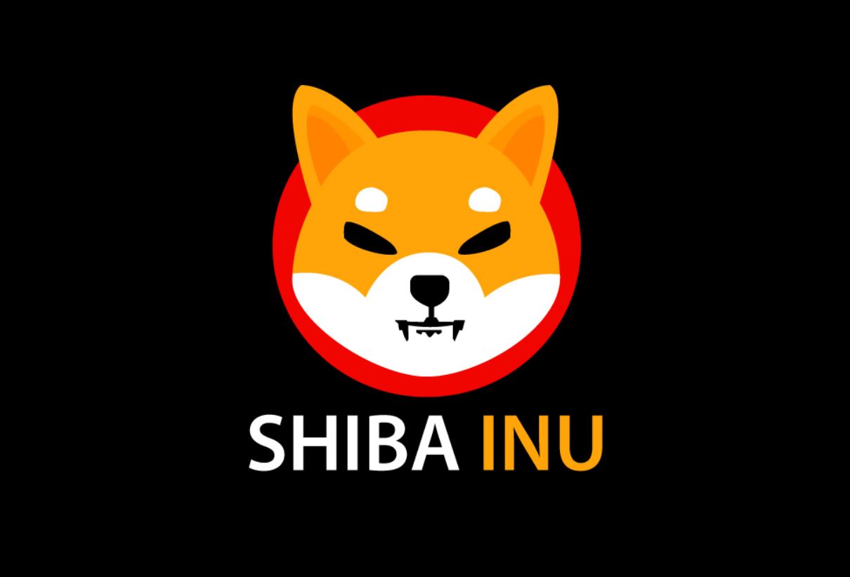 comprare shiba inu