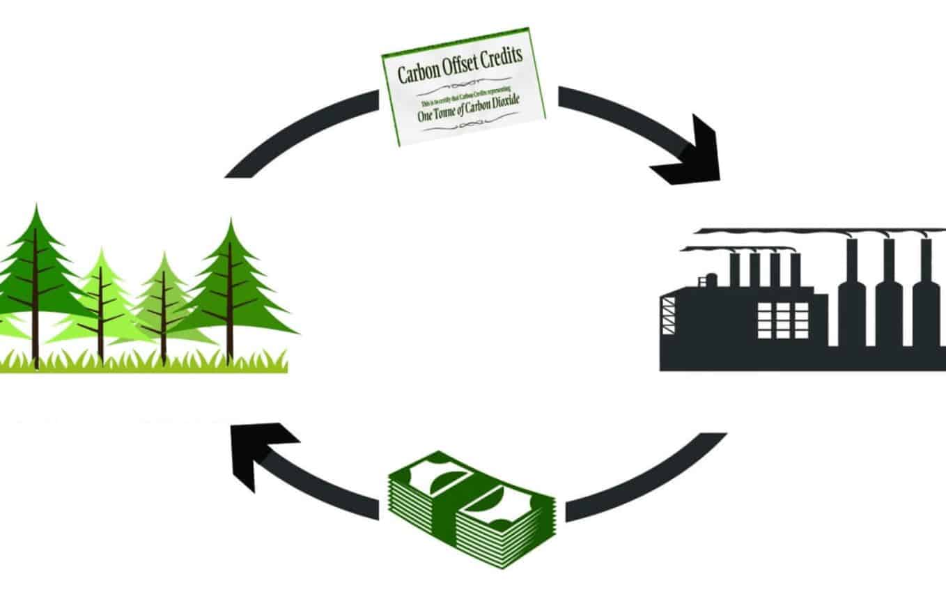 investire in carbon credit